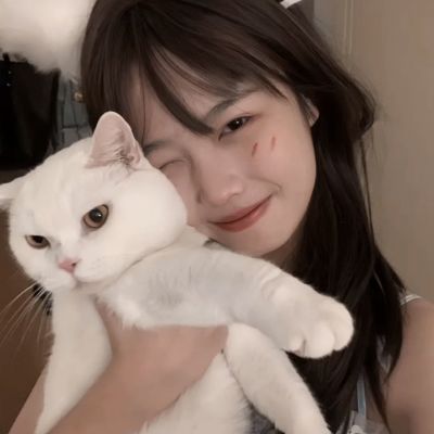 宫锁心计正版下载