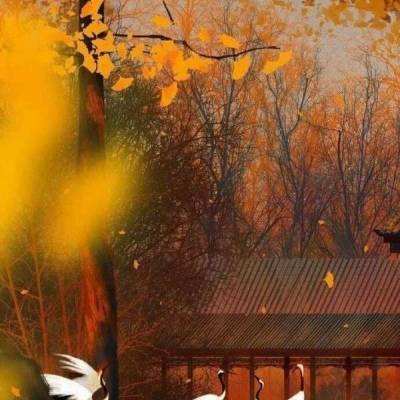 龙之剑圣满v版下载