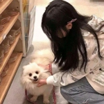 美人劫手游